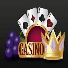 Studio dealer langsung Three Card Poker di platform kaleoz dengan tampilan multi-kamera